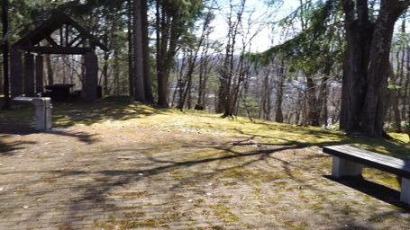 ���_�y����