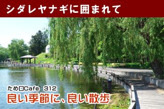 ため口Cafe