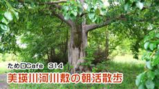 ため口Cafe