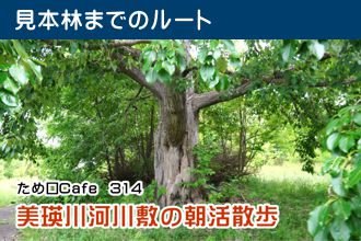 ため口Cafe
