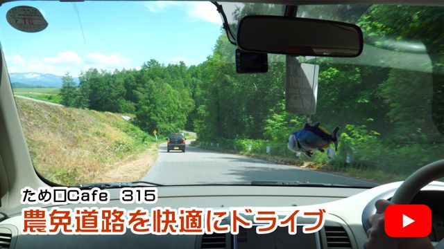 農免道路を快適にドライブ