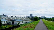 �e�[�}�U�������B
