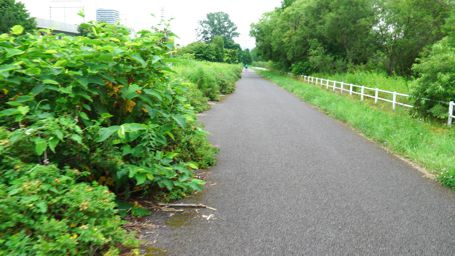 遊歩道
