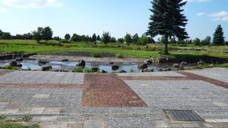 遊水公園