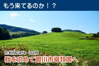 ため口Cafe