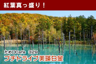 ため口Cafe