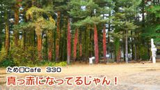 ため口Cafe