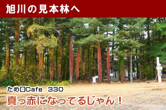 ため口Cafe