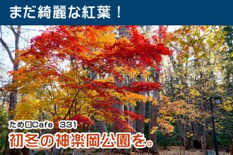 ため口Cafe