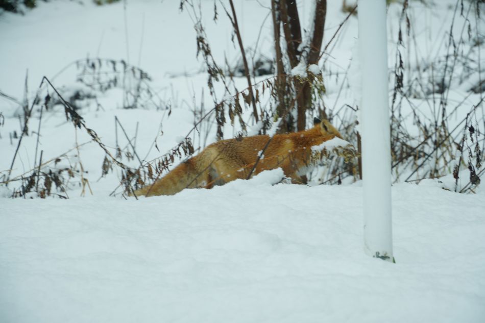 �L�^�L�c�l