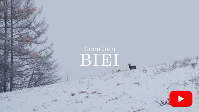 Location BIEI