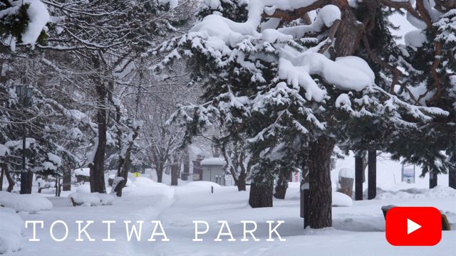 TOKIWA PARK