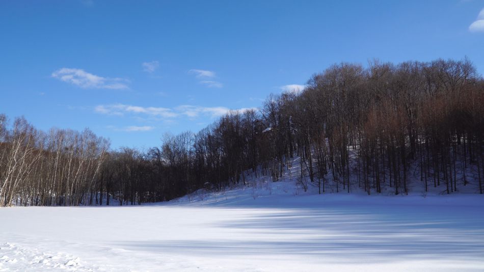 �_�C�i�~�b�N