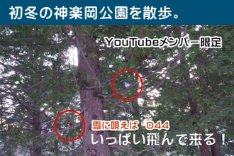 雪に唄えば