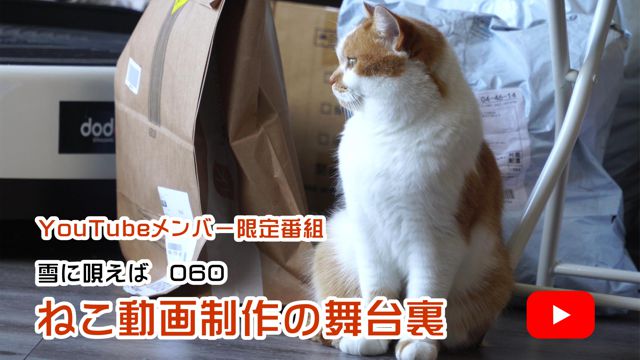 ˂搧̕䗠