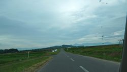 �u�֌�����