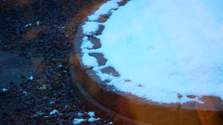 雪も降りました