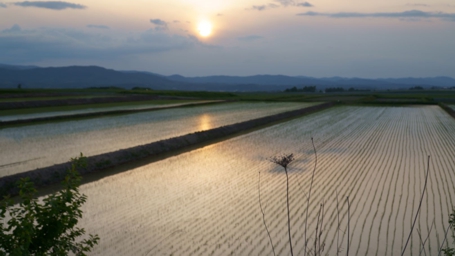 黄昏る田園