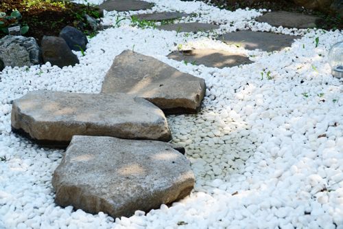 浅い池